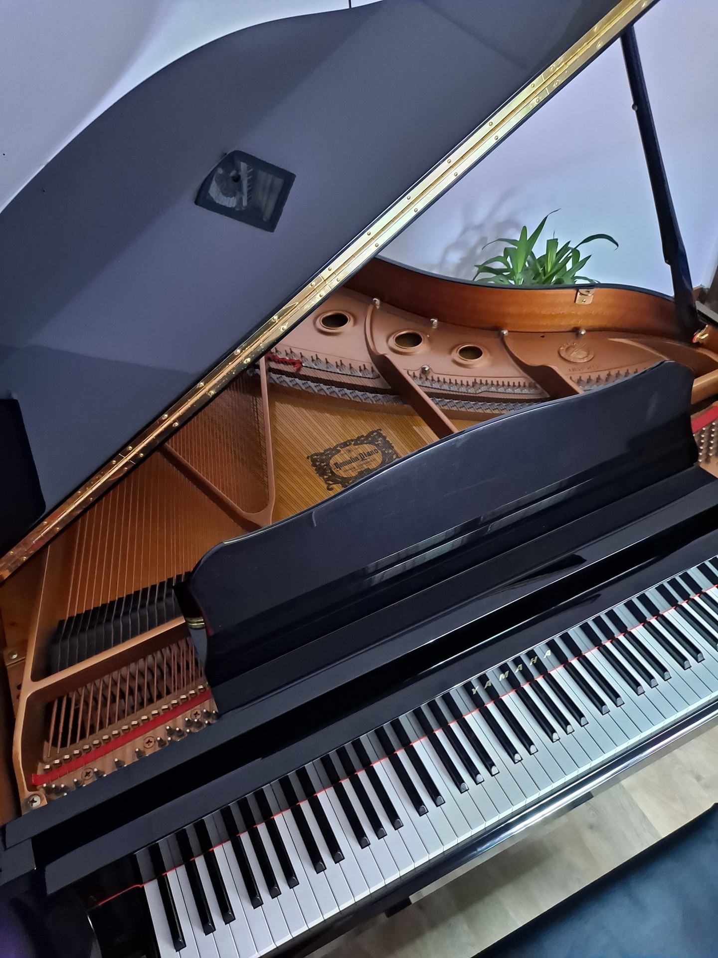 melanieloiseau-piano